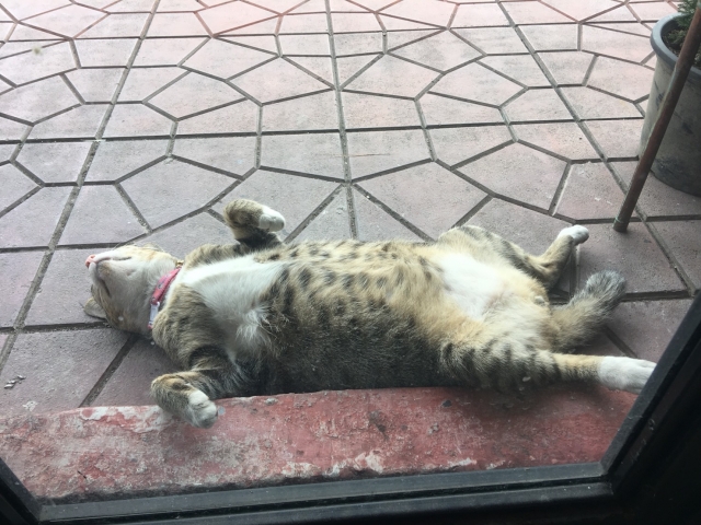 超ズボラ投資のススメ